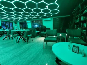 Kingfisher Africa Lagos 2