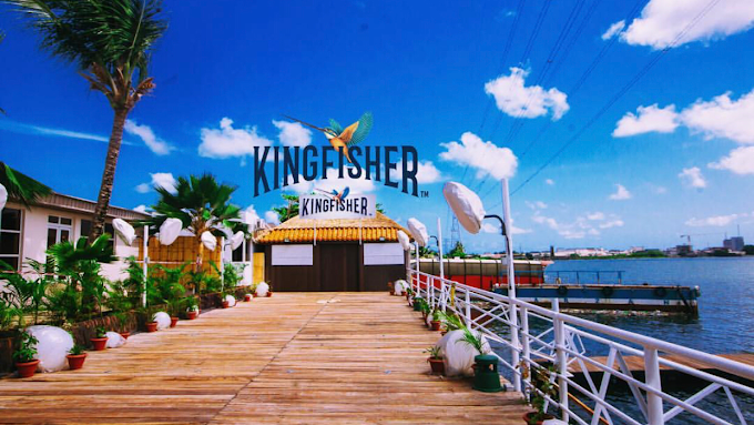 Kingfisher Africa Lagos
