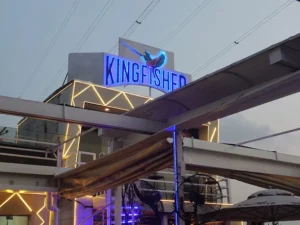 Kingfisher Africa Lagos 8