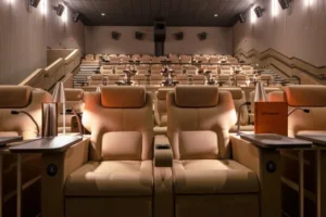Ebony Life Cinemas