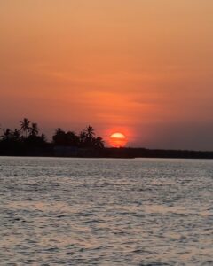 Yolo Island Yolo Island