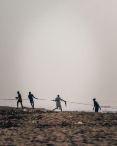 Yolo Island Yolo Island