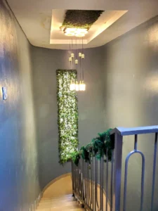 Sycamore by OneBasket 4