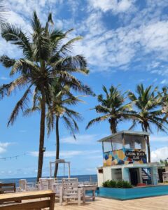 lagunabeachresortng post 10 12 2024 3 53 43 PM3477286063019560767